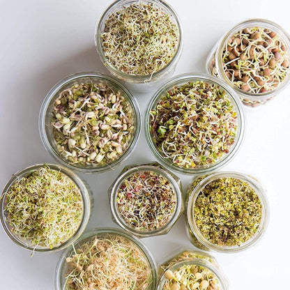 4-Tier Sprouts Maker