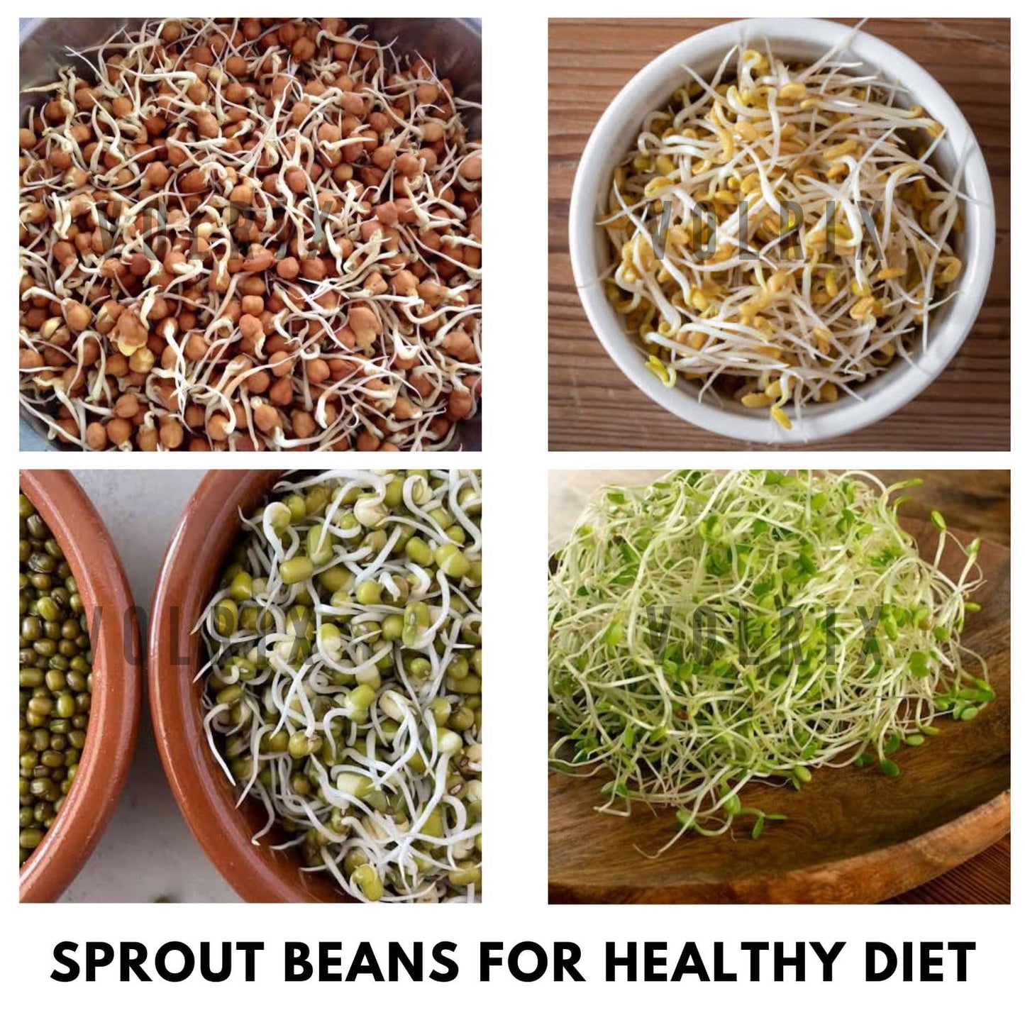 4-Tier Sprouts Maker