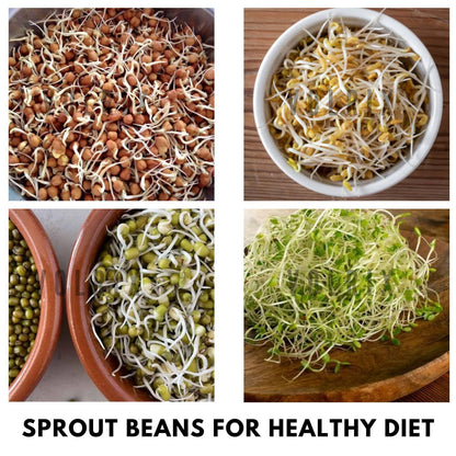 4-Tier Sprouts Maker