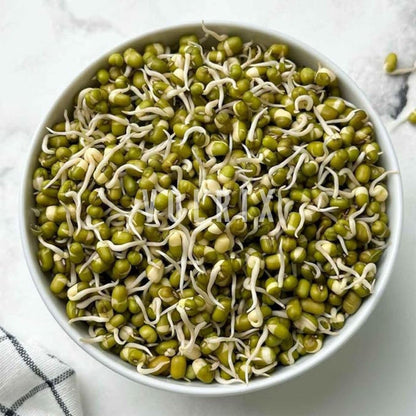 4-Tier Sprouts Maker